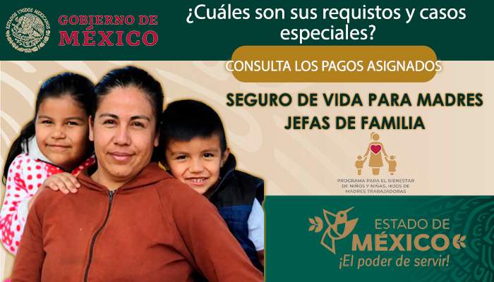 Seguro de Vida para Madres Jefas de Familia