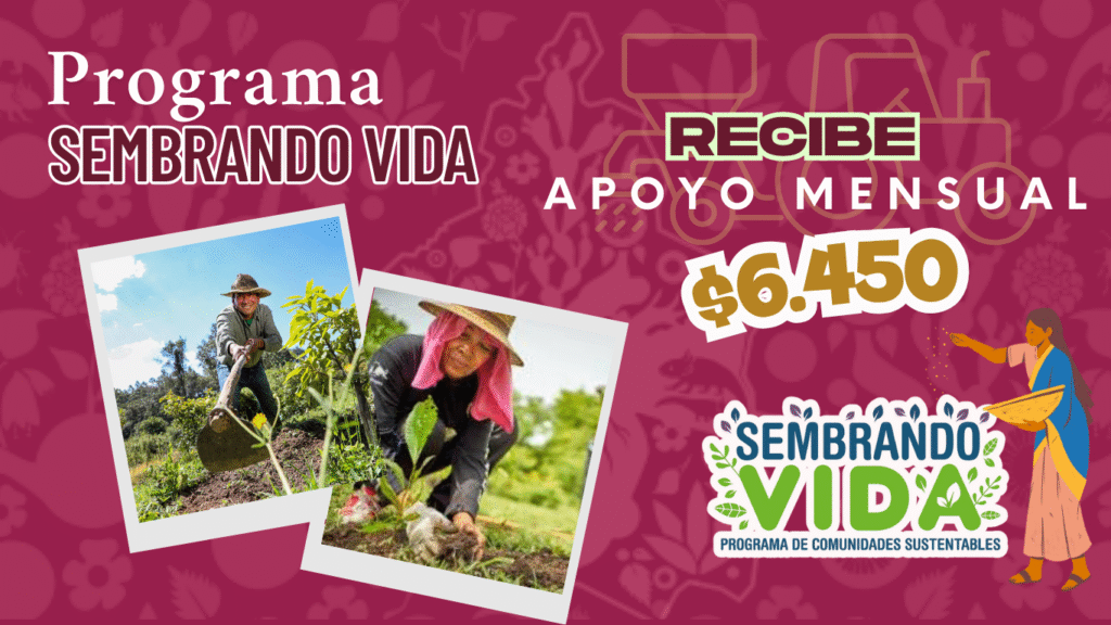 Programa Sembrando Vida