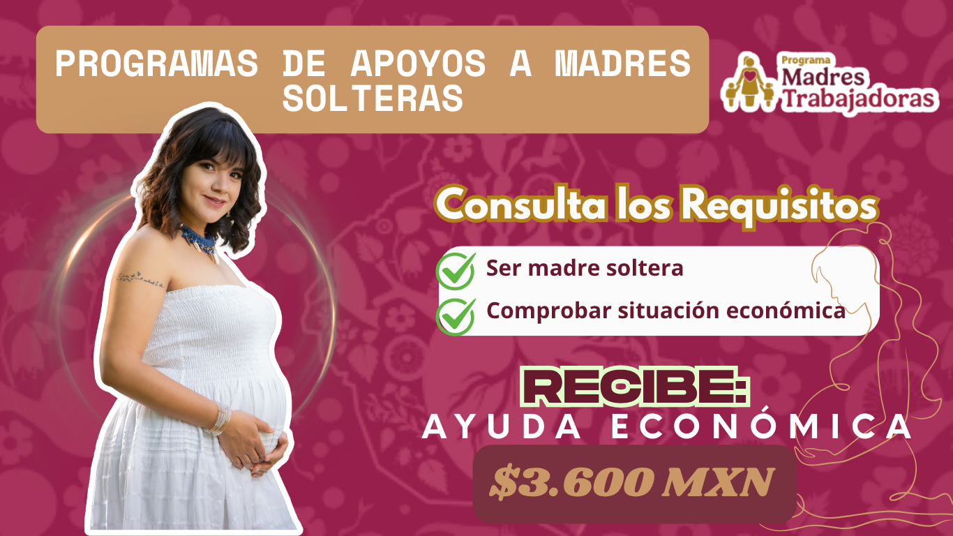︎Programas de Apoyos a Madres Solteras
